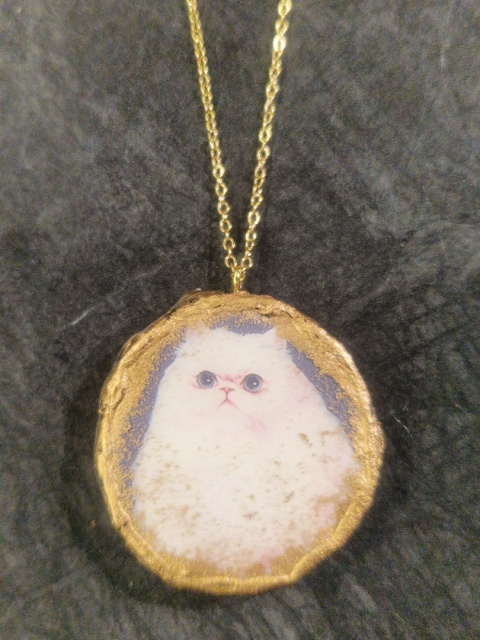 Kicia Nadworna Kucharka